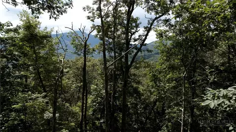 tbd Nettles Knob, Seven Devils, NC 28604 photo 13