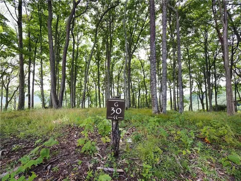 G30 Lodge Woods Trail, Banner Elk, NC 28604