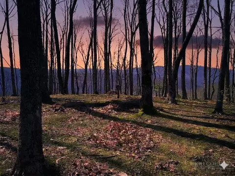 G30 Lodge Woods Trail, Banner Elk, NC 28604