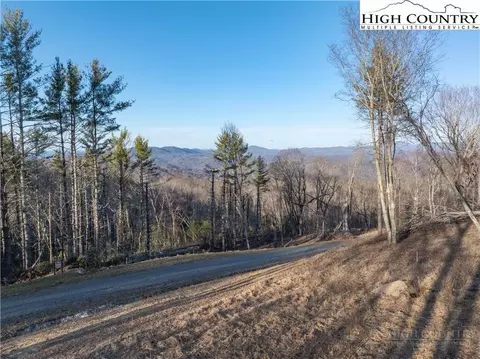 41 Wr Puckett Lane, Elk Park, NC 28604