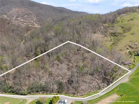 157 Oso Dr, Vilas, NC 28692