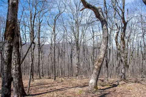 lot Apt 100 Elk Creek Mountain Parkway Pkwy, Todd, NC 28684