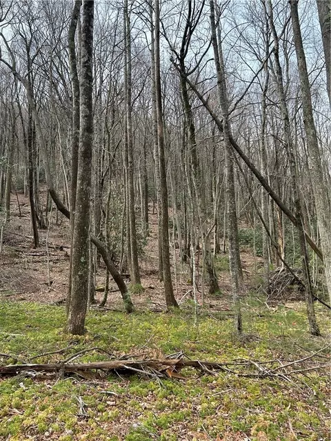 58 Wilderness Reserve Pkwy, Deep Gap, NC 28618