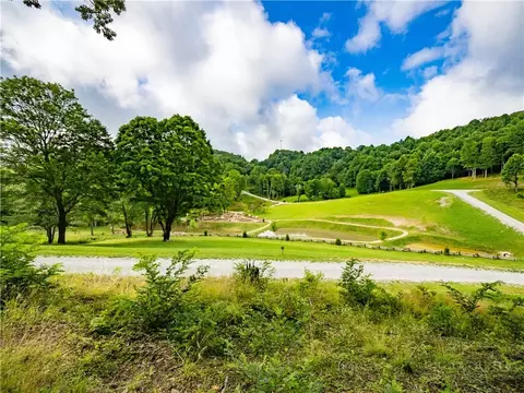 Wr14 Firethorne Lane, Elk Park, NC 28622