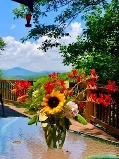 519 Wintergreen Dr, Boone, NC 28607 photo 41