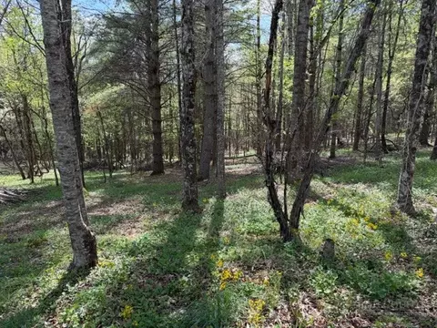 tbd Crestview Dr W, Creston, NC 28615 photo 3
