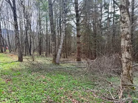 tbd Crestview Dr W, Creston, NC 28615 photo 8