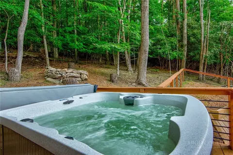 Other - 1015 Pine Ridge Rd, Beech Mountain, NC 28604 photo 6 of 9