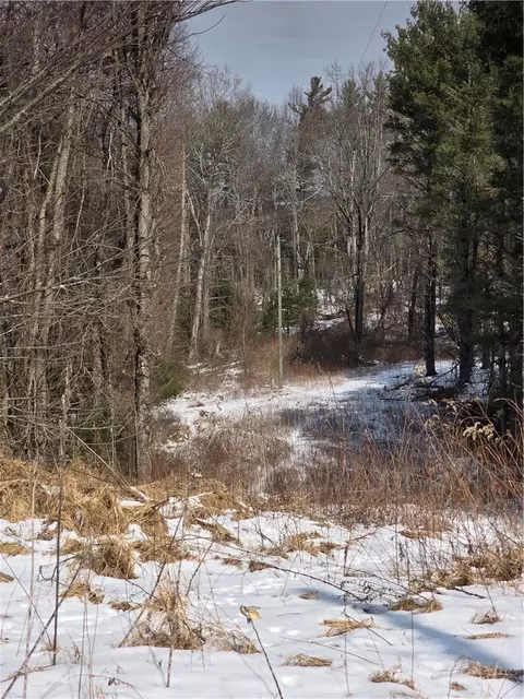 tbd Bennett Ln, Sparta, NC 28627