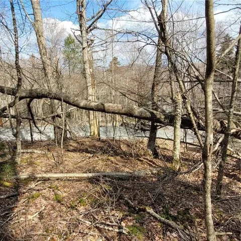 134-136 Wild Daisy Ln, Beech Mountain, NC 28604 photo 7