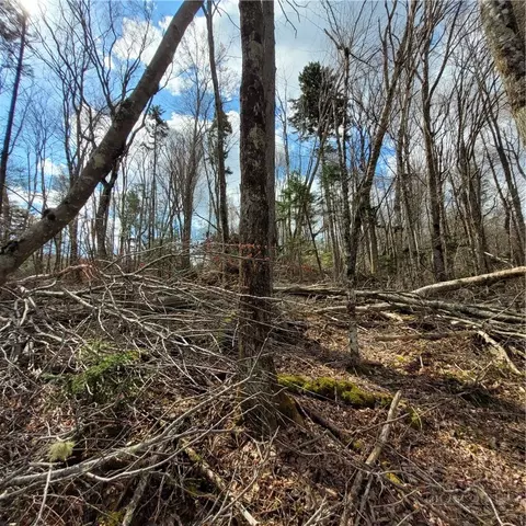 134-136 Wild Daisy Ln, Beech Mountain, NC 28604 photo 2