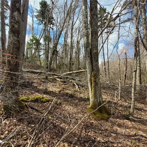134-136 Wild Daisy Ln, Beech Mountain, NC 28604 photo 3
