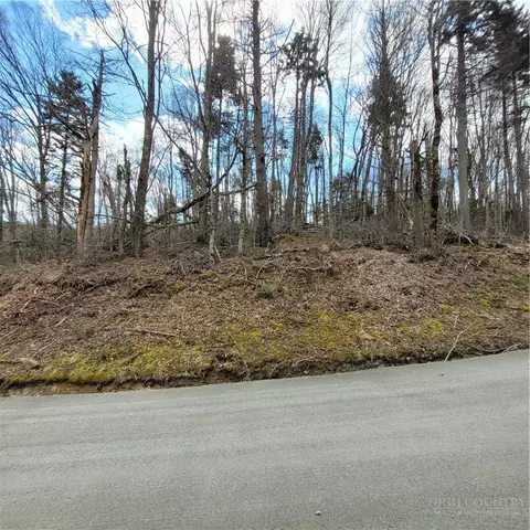 134-136 Wild Daisy Ln, Beech Mountain, NC 28604 photo 6