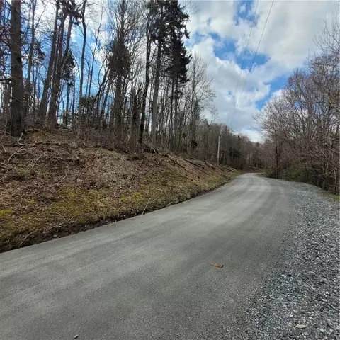 134-136 Wild Daisy Ln, Beech Mountain, NC 28604 photo 8