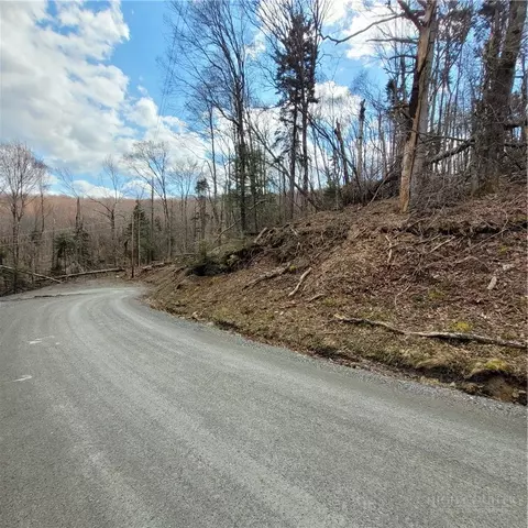 134-136 Wild Daisy Ln, Beech Mountain, NC 28604 photo 9