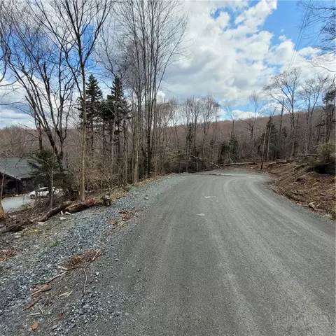 134-136 Wild Daisy Ln, Beech Mountain, NC 28604 photo 10