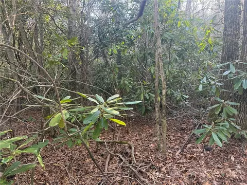 tbd Huckleberry Knob Ln, Newland, NC 28657