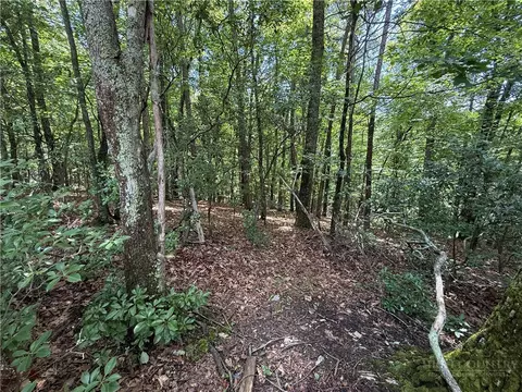 lot139 Pine Burr Dr, Purlear, NC 28665 photo 6
