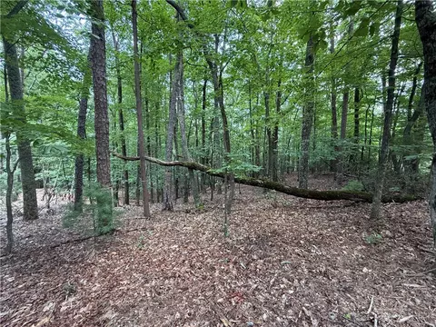 lot139 Pine Burr Dr, Purlear, NC 28665 photo 9