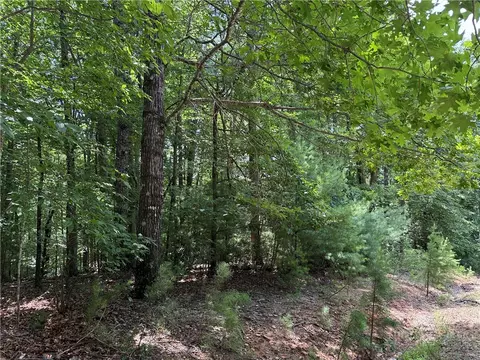 lot139 Pine Burr Dr, Purlear, NC 28665 photo 12