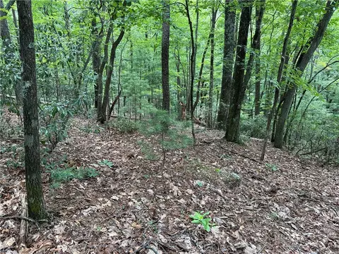 lot139 Pine Burr Dr, Purlear, NC 28665 photo 7