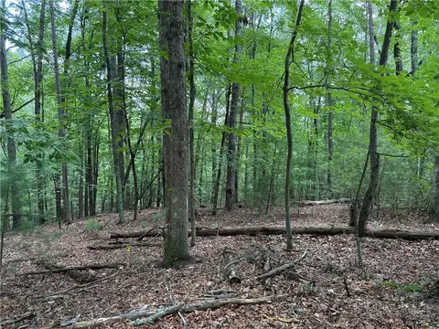 lot139 Pine Burr Dr, Purlear, NC 28665 photo 2