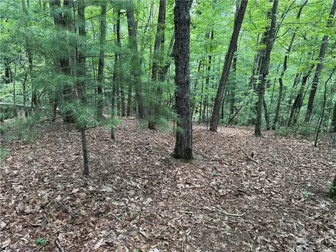 lot139 Pine Burr Dr, Purlear, NC 28665 photo 4