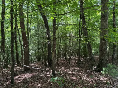 lot139 Pine Burr Dr, Purlear, NC 28665 photo 11