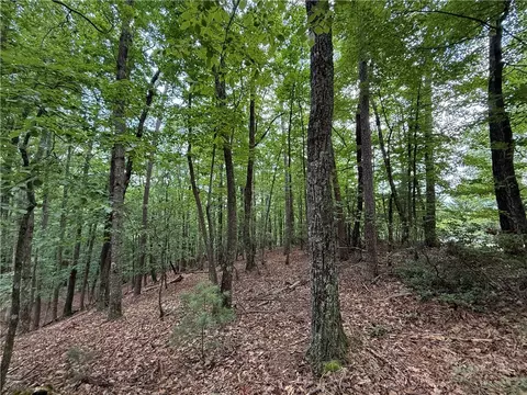 lot139 Pine Burr Dr, Purlear, NC 28665 photo 10