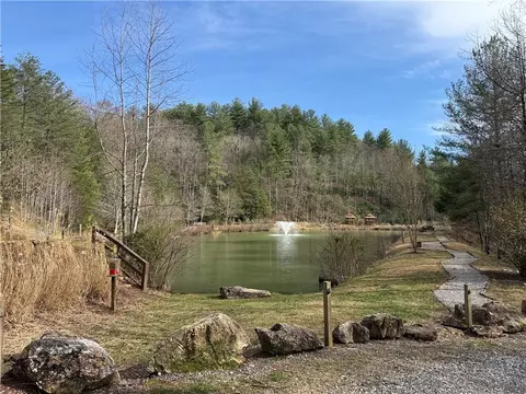 View/Area - 115 Pine Burr Dr, Purlear, NC 28665 photo 1 of 1