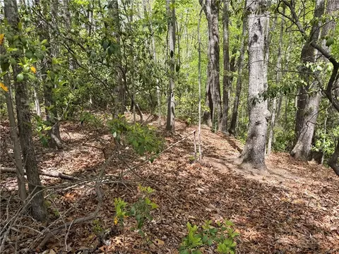 tbd Elk Ridge Rd, Deep Gap, NC 28618 photo 12