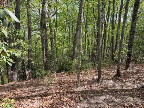 tbd Elk Ridge Rd, Deep Gap, NC 28618 photo 2