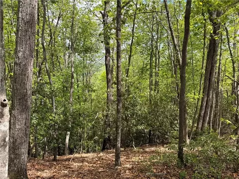 tbd Elk Ridge Rd, Deep Gap, NC 28618 photo 8
