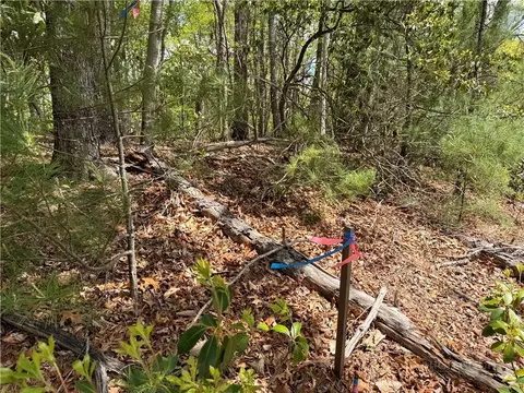 tbd Elk Ridge Rd, Deep Gap, NC 28618 photo 14