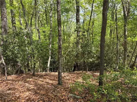 tbd Elk Ridge Rd, Deep Gap, NC 28618 photo 6