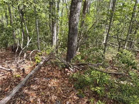 tbd Elk Ridge Rd, Deep Gap, NC 28618 photo 9
