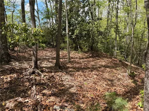tbd Elk Ridge Rd, Deep Gap, NC 28618 photo 5