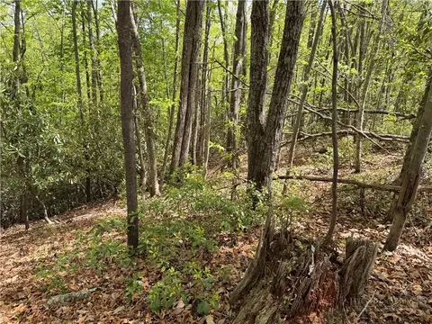tbd Elk Ridge Rd, Deep Gap, NC 28618 photo 7