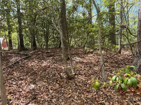 tbd Elk Ridge Rd, Deep Gap, NC 28618 photo 4