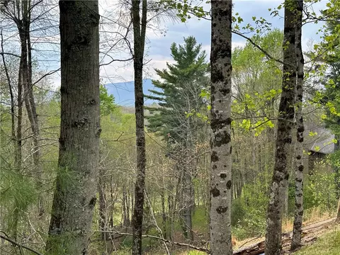 lot5 Churchill Downs, Boone, NC 28607 photo 2