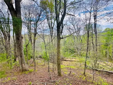lot5 Churchill Downs, Boone, NC 28607 photo 8