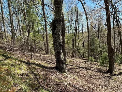 lot5 Churchill Downs, Boone, NC 28607 photo 26
