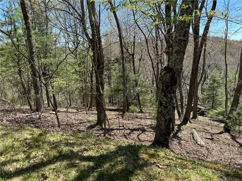 lot5 Churchill Downs, Boone, NC 28607 photo 16