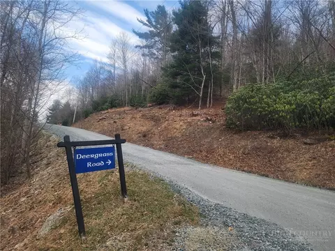 100 Deergrass Rd, Beech Mountain, NC 28604