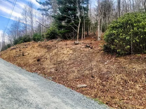 100 Deergrass Rd, Beech Mountain, NC 28604 photo 3