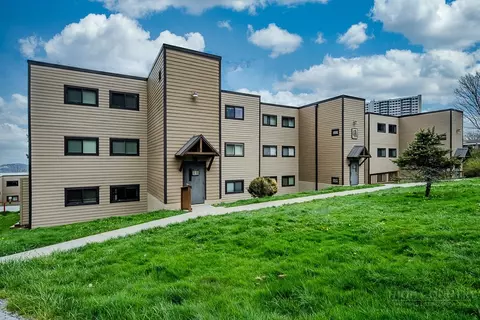 103 Sugar Ski Dr #333, Sugar Mountain, NC 28604