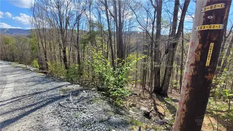 236 Wild Daisy Ln, Beech Mountain, NC 28604 photo 4