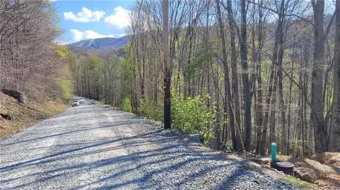 236 Wild Daisy Ln, Beech Mountain, NC 28604 photo 3