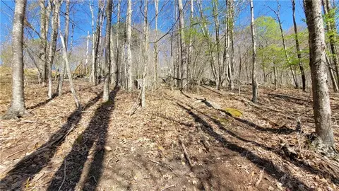 236 Wild Daisy Ln, Beech Mountain, NC 28604 photo 12