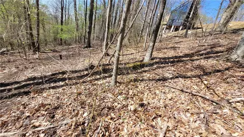 236 Wild Daisy Ln, Beech Mountain, NC 28604 photo 15